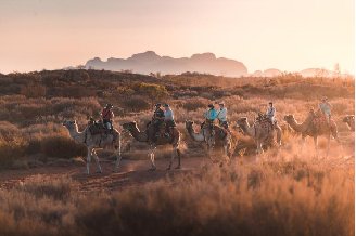 体验<br/>最佳旅行胜地Top3！骑行骆驼见证最美乌鲁鲁巨岩日落
