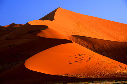 游览<br/>人生必到访，闯入地球最古老的红色沙海与生命秘境