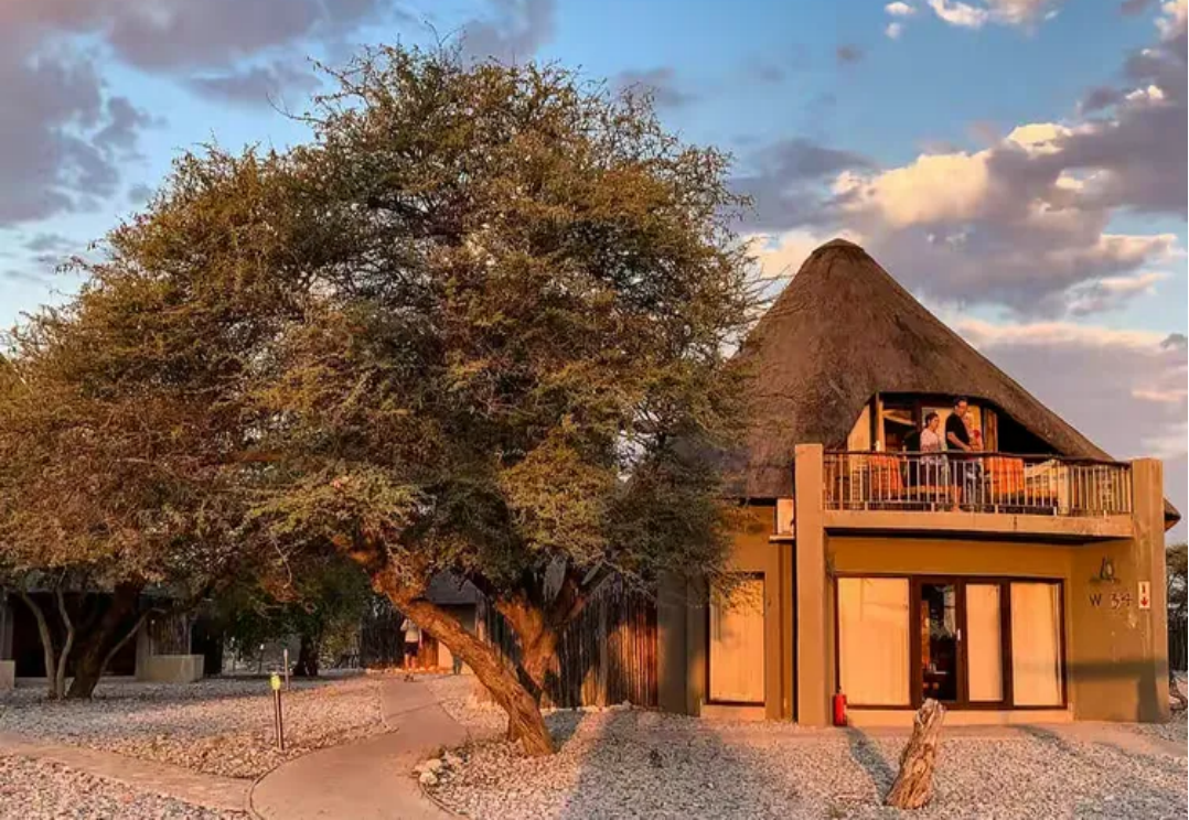 美宿<br/>特别安排红沙漠园内酒店：独占世界自然遗产，枕于红沙漠星空之下