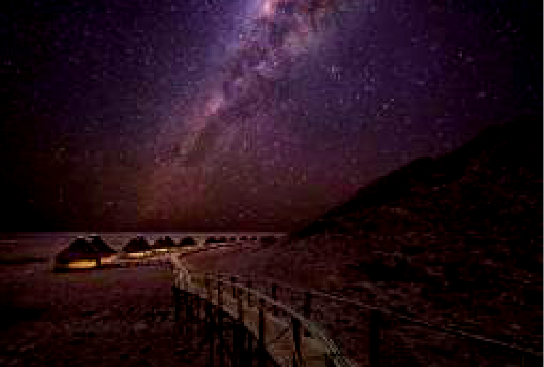 美宿<br/>水塘边的野生动物营地，上演永不落幕的野生动物剧场