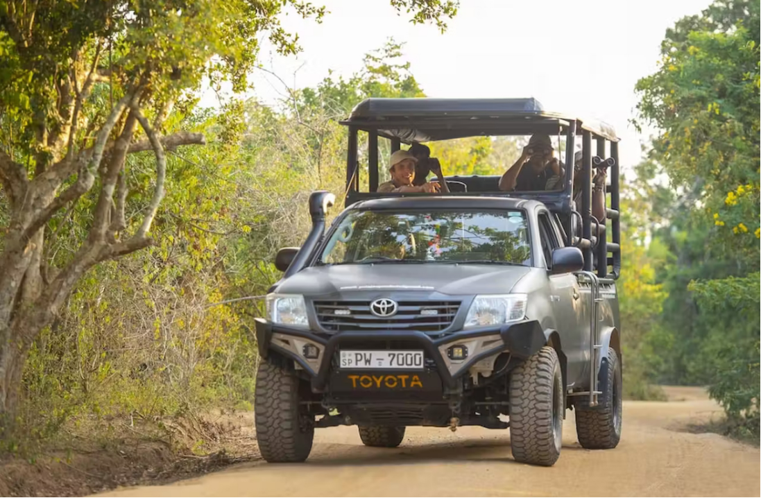 体验<br/>深入野生动物王国，体验激动人心的吉普车游猎