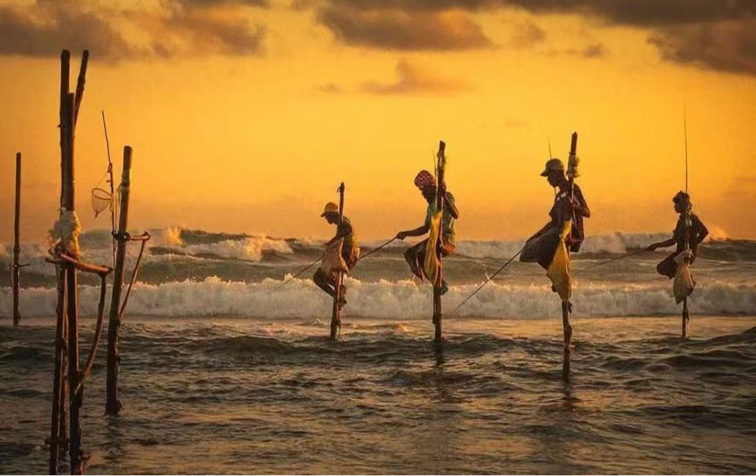 体验<br/>海岸线上的独特剪影，见证传承的钓鱼技艺 