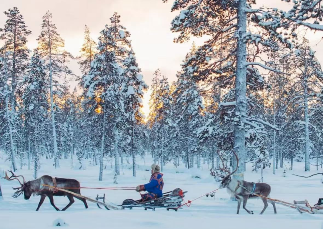 游览<br/>在拉普兰公园体验最Local的雪地乐趣，走进北极圈的梦幻仙境